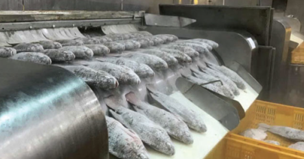 Không phải sầu riêng hay đất hiếm, Mỹ liên tục săn lùng một mặt hàng của Việt Nam: Xuất khẩu tăng 499%, nước ta có lợi thế về thuế