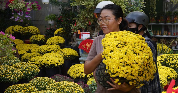 Ấm lòng ngày giáp Tết: Người dân TP.HCM chung tay giải cứu từng chậu cúc mâm xôi, giúp bà con nông dân miền Tây vơi bớt nỗi lo mất mùa