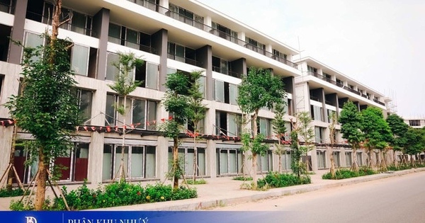 Thời điểm lý tưởng đầu tư bất động sản Hải Phòng với ưu đãi đặc biệt