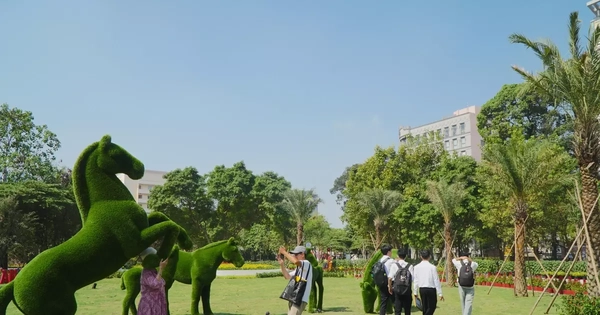 'Đất vàng' bỏ hoang giữa trung tâm TPHCM thành công viên đông vui dịp Tết