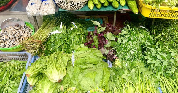 Loại rau tốt bậc nhất thế giới, bổ ngang nhân sâm tổ yến, chợ Việt bán đầy từ 15.000 đồng/kg