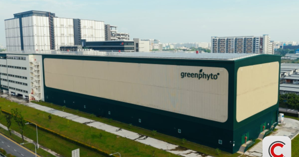 Kỳ tích của 1 'trùm nông nghiệp' ĐNÁ: Xây trang trại trong nhà cao nhất thế giới, công suất 2.000 tấn rau/năm, robot tự gieo hạt, chỉnh nhiệt