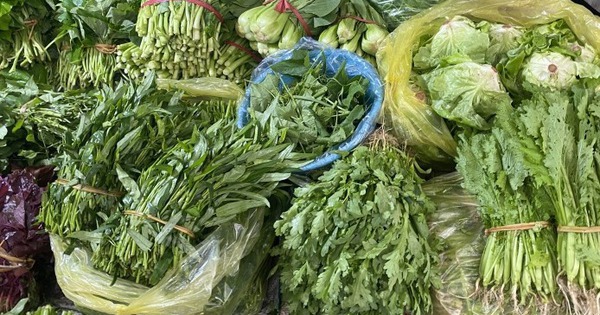 Loại rau tốt nhất thế giới, được chấm 100/100 điểm, chợ Việt bán từ 25.000 đồng/kg