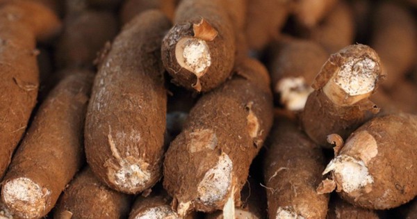 Sản vật được ví như "vàng trắng" dưới lòng đất hơn tỷ USD của Việt Nam xuất khẩu top 3 thế giới đang gặp khó