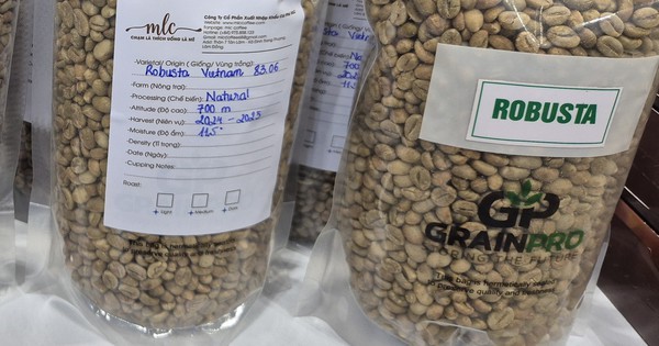 Giá cà phê hôm nay 3-1: Tiếp tục tăng