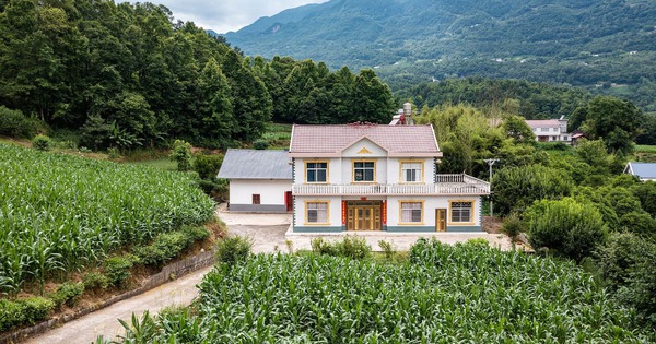 Gia đình 5 người dân phố dắt nhau về ngoại ô, mua đất trên đồi xây “vườn cổ tích”, 2 năm sau tán gia bại sản: Cái giá thật của giấc mơ dưỡng già