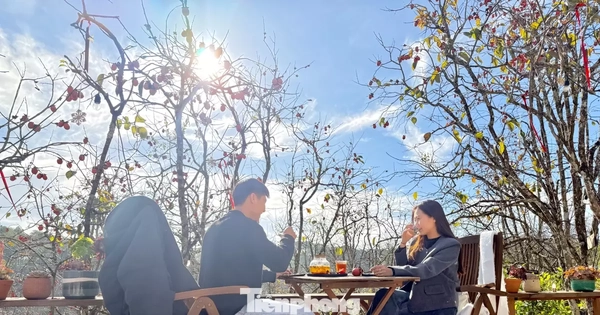 Du khách nô nức check-in giữa vườn hồng chất chill Đà Lạt