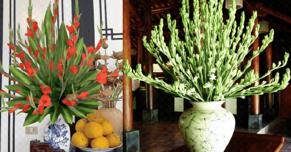 5 loại hoa NÊN trưng bàn thờ Tết: Giữ cát khí, tụ phúc lành, đón lộc đầu năm