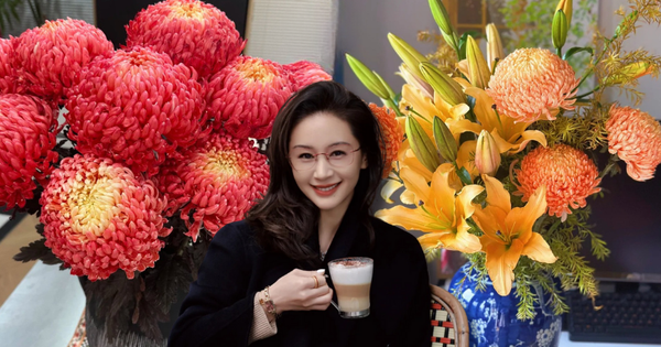 Chi hơn 300k rước bình hoa "khổng lồ" về nhà: Loài hoa định nghĩa lại hai chữ "phú quý" cho phòng khách ngày xuân