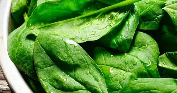 2 loại rau "tăng chiều cao" cho trẻ cực giàu canxi, nhất cái số 1 ngoài chợ bán đầy