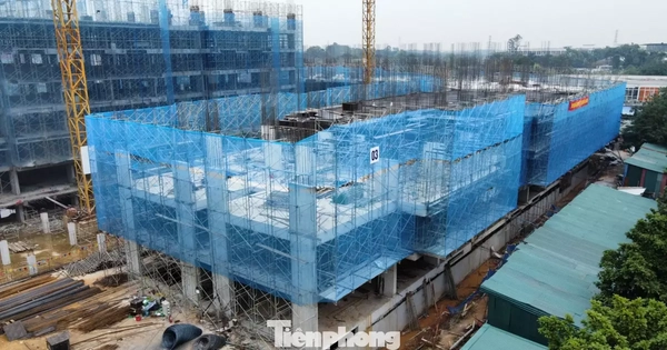 Hướng dẫn mới nhất xác nhận thu nhập mua nhà ở xã hội cho lao động tự do