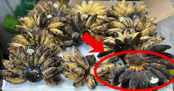 Ra chợ mua chuối, không phải nải chín vàng, đây mới là nải được người "sành" chọn mua đầu tiên: Vì sao?