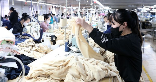 Không ký hợp đồng lao động: Doanh nghiệp sai luật, người lao động cần làm gì?