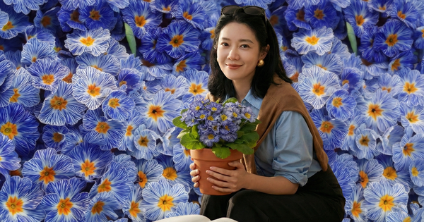 "Cực phẩm" chưng Tết lạ mắt với vẻ đẹp ma mị, nhìn qua tưởng hoa giả mà lại thơm ngát hương xuân