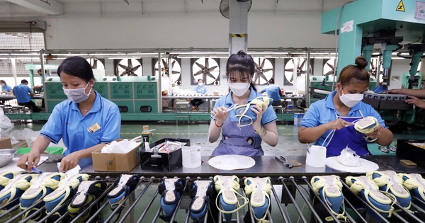 Hơn 54.000 doanh nghiệp gia nhập và tái gia nhập thị trường trong tháng 1/2026