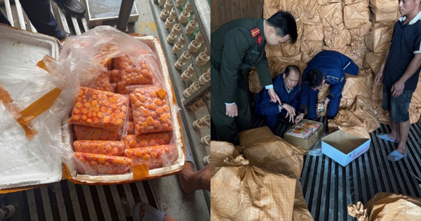 Cận cảnh 12 tấn trứng non, sụn gà... “chữ lạ” nằm la liệt trong 3 xe container đang chờ tuồn ra thị trường tại Hà Nội