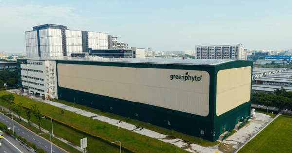 Không phải Trung Quốc hay Nhật Bản, một quốc gia châu Á làm trang trại trong nhà cao nhất thế giới: Chứa 1,2 triệu cây rau, sản lượng 2.000 tấn mỗi năm