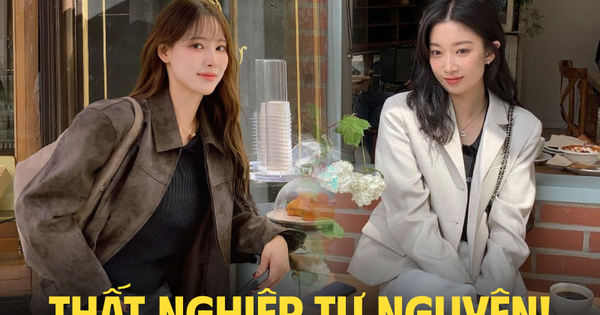 Tự nghỉ việc rồi thất nghiệp, sau đó thì sao?