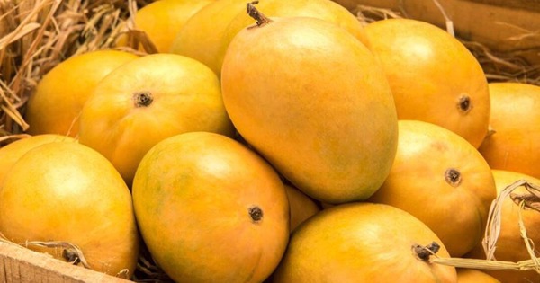 Khi mua xoài, nói đúng 1 câu này, người bán chột dạ và không dám qua mặt bạn