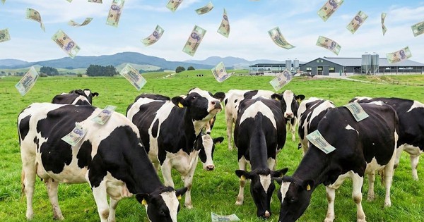 Một đại gia sữa chốt quyền chia cổ tức 25%, tiền về tài khoản ngay sát Tết