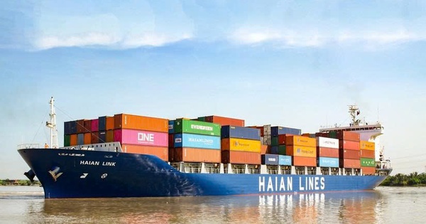 Xếp dỡ Hải An góp thêm 140 tỷ đồng vào doanh nghiệp thành lập cùng Viconship