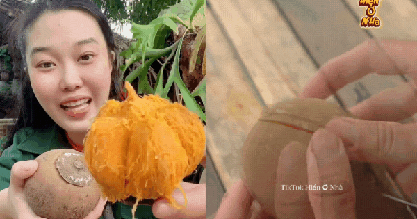 Cơn sốt quả lạ Chupa Chupa 