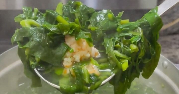 5 loại rau giàu canxi hơn cả sữa, cực bổ xương khớp: Chợ Việt lúc nào cũng sẵn nhưng nhiều người không biết mà ăn