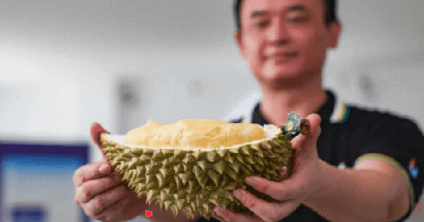 'Vua các loại trái cây' Việt Nam trỗi dậy ở Trung Quốc: Sẽ 'soán ngôi' Thái Lan sau ba năm?