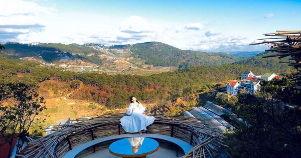 1 thành phố đang được tìm kiếm nhiều nhất mùa Tết năm nay: Sắp có lễ hội mai anh đào kéo dài tới 10 ngày