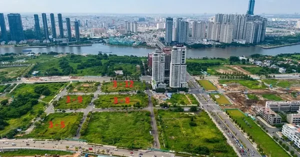 TP.HCM chấn chỉnh công tác đấu giá quyền sử dụng đất
