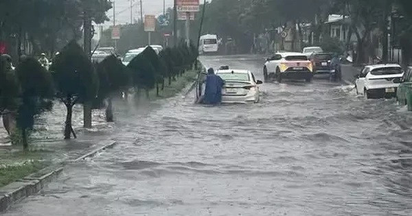 'Giải cứu' đoạn đường ven biển Đà Nẵng đi Hội An hễ mưa to là ngập