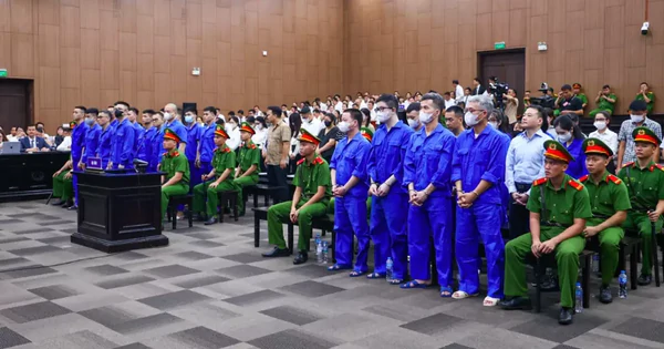 Nữ cán bộ hưu trí lặn lội từ TPHCM ra Hà Nội dự tòa, mong sớm lấy lại 20 tỷ bị Mr Pips chiếm đoạt