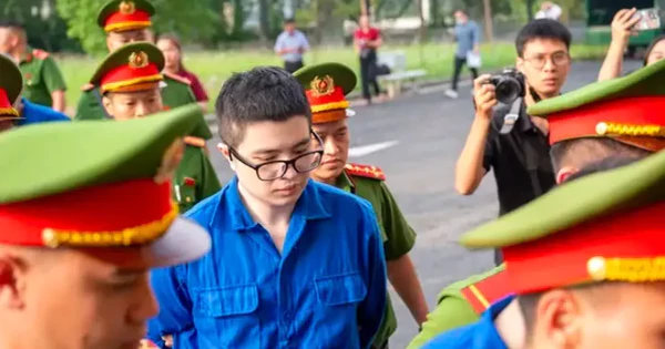 Luật sư đề nghị đưa Mr Pips đi giám định tâm thần