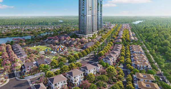 Trải nghiệm nhịp sống năng động tại Rừng Hồng - tọa độ trung tâm Eco Retreat