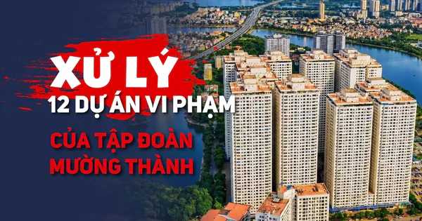 Xử lý 12 dự án vi phạm của Tập đoàn Mường Thành: Chủ đầu tư phải nộp và chi trả những khoản nào?
