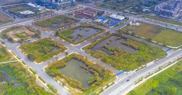 Niêm yết đấu giá 4 lô 'đất vàng' ở Thủ Thiêm