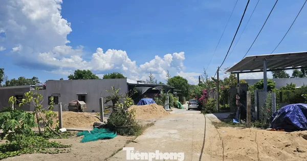 Đắk Lắk lập đoàn kiểm tra vụ xây cả 'khu dân cư' trái phép trên đất rừng trồng