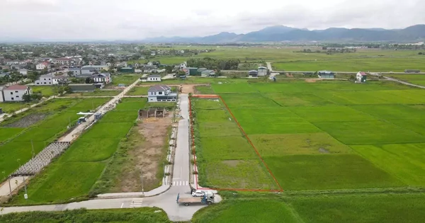 Sau 'sốt nóng', đấu giá đất vùng quê trầm lắng, nhiều nơi ‘trắng hồ sơ’