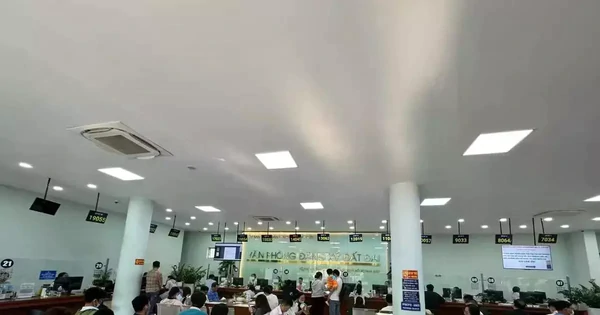 Quy định mới thủ tục đất đai ở TPHCM: Không cần đến nơi có nhà đất