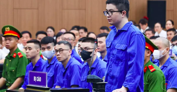 Mr Pips: ‘Có những lúc bị cáo buồn, kể cả có nhiều tiền cũng thấy cuộc đời này vô thường, vô nghĩa’