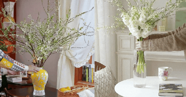 Mẹo giữ hoa tuyết mai tươi ròng rã 2 tuần: Sai lầm "kinh điển" khi thay nước khiến hoa héo rũ mà 90% chị em đang làm mỗi ngày