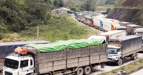 Hỏa tốc đề nghị 3 bộ gỡ vướng cho nông sản đang ùn tắc ở cửa khẩu