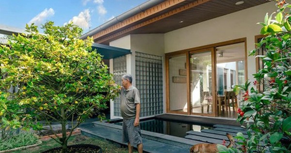 Gần Tết, nếu trong nhà xuất hiện 4 dấu hiệu này, rất có thể gia chủ sắp đón tài lộc, tiền bạc rủng rỉnh: Đặc biệt là điều số 2