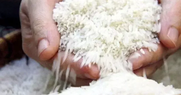 Gạo Thái Lan tăng giá mạnh, Việt Nam giữ đà ổn định