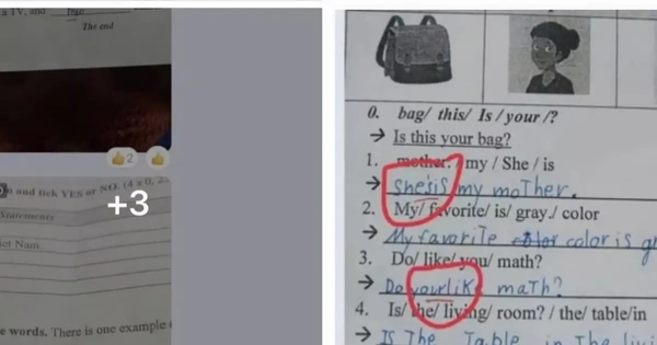 Tin mới vụ giáo viên tiếng Anh sửa nhiều bài thi ở Gia Lai