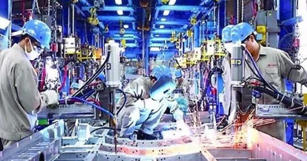 Hơn 54.000 doanh nghiệp gia nhập và tái gia nhập thị trường tháng 1