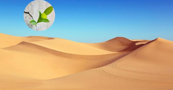 Phát minh làm rung chuyển ngành xây dựng: Tạo ra bê tông từ thứ tưởng không thể dùng, bước ngoặt cho vật liệu phổ biến thứ 2 thế giới