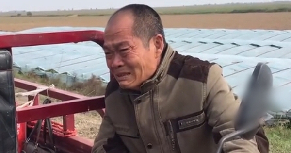 Anh nông dân gửi tiết kiệm 1,1 tỷ đồng nhưng nhân viên khẳng định tiền đã rút sạch, tòa tuyên bố: “Ngân hàng phải trả 1,2 tỷ đồng”