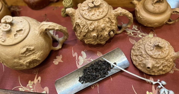 Địa phương miền núi của Việt Nam có chè ngon nức tiếng, giá trên 100 triệu đồng/kg