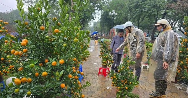 Hà Nội Cận Tết: Phố Xá Thông Thoáng, Chợ Hoa Vắng Vẻ Nhờ Kiểm Soát Chặt